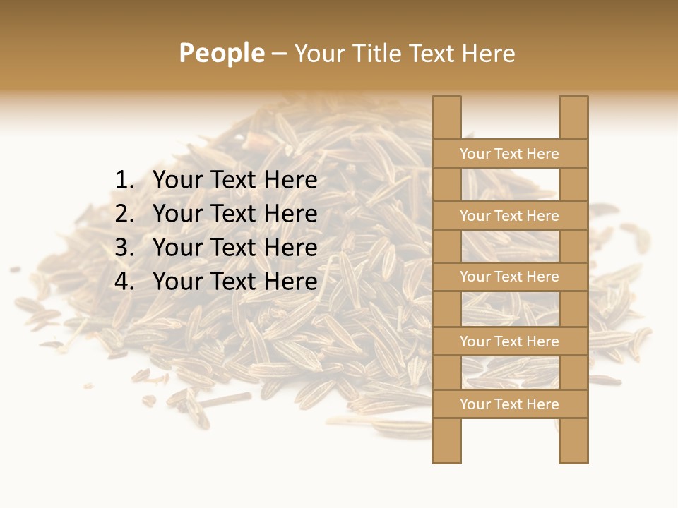 Ingredient Meridian Isolated PowerPoint Template