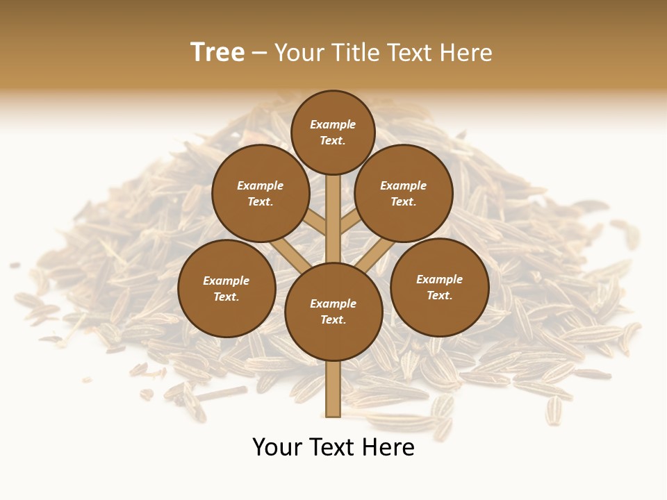 Ingredient Meridian Isolated PowerPoint Template