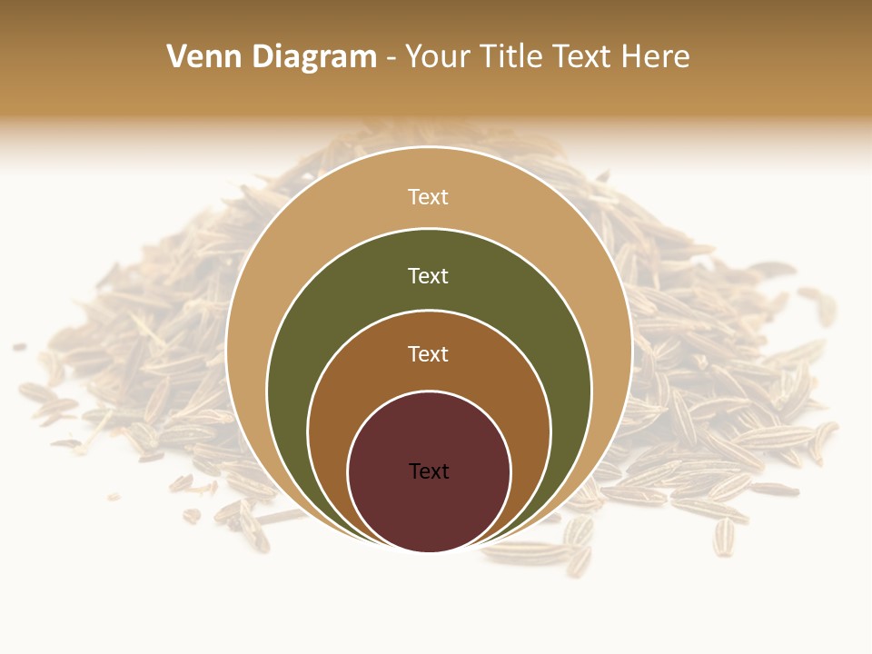 Ingredient Meridian Isolated PowerPoint Template