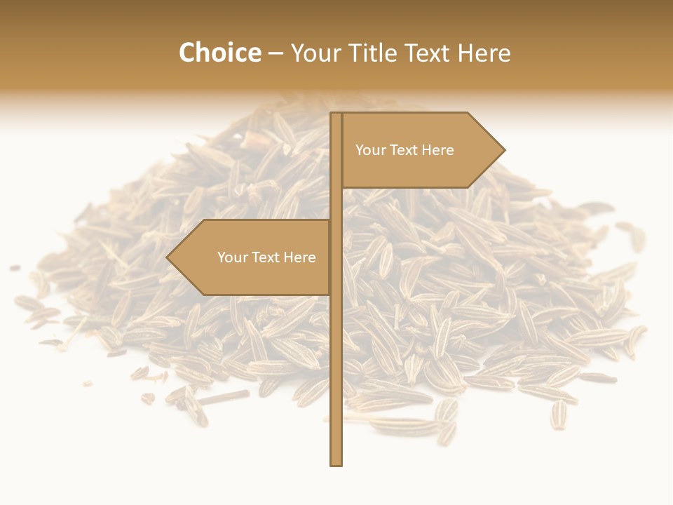 Ingredient Meridian Isolated PowerPoint Template