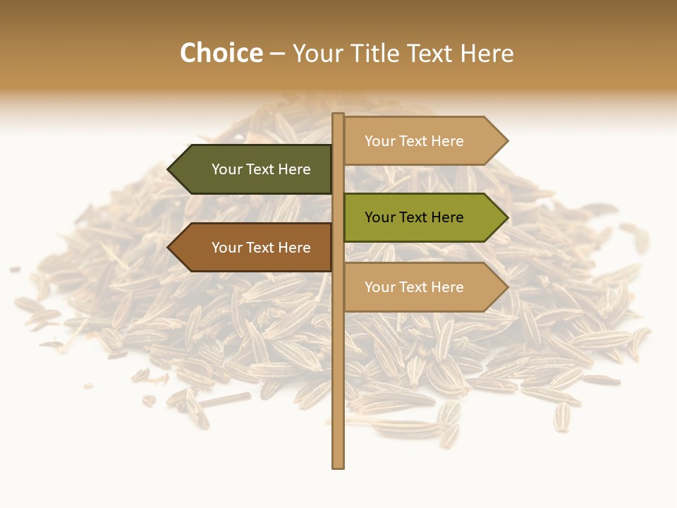 Ingredient Meridian Isolated PowerPoint Template