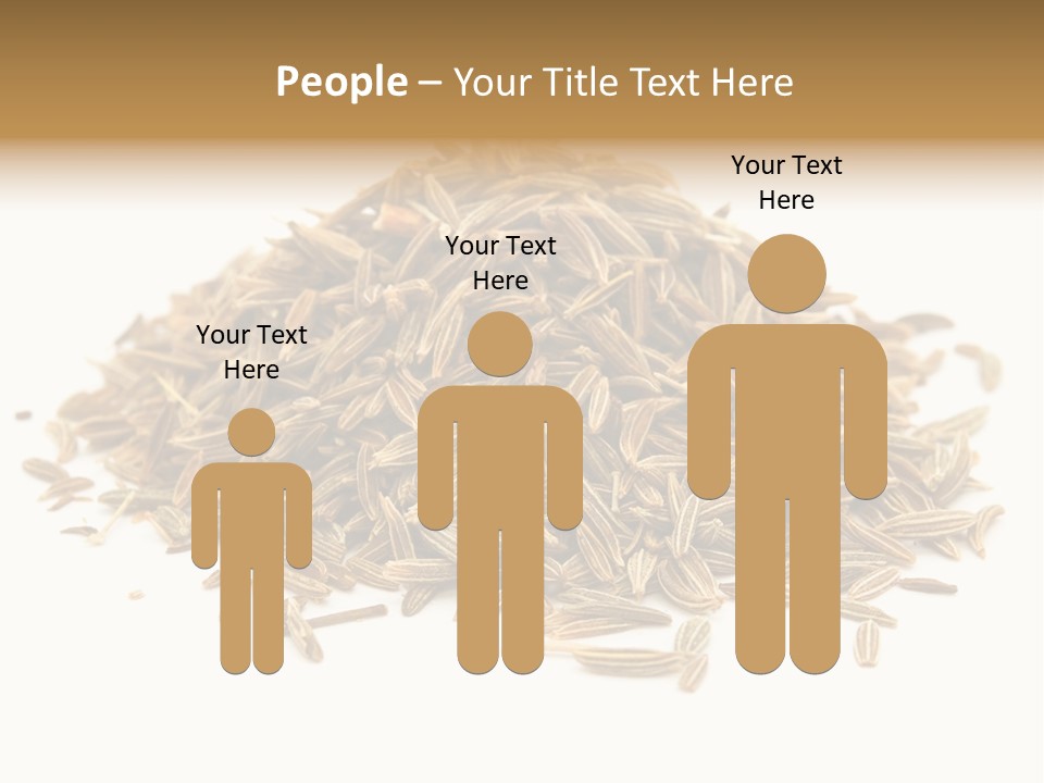 Ingredient Meridian Isolated PowerPoint Template