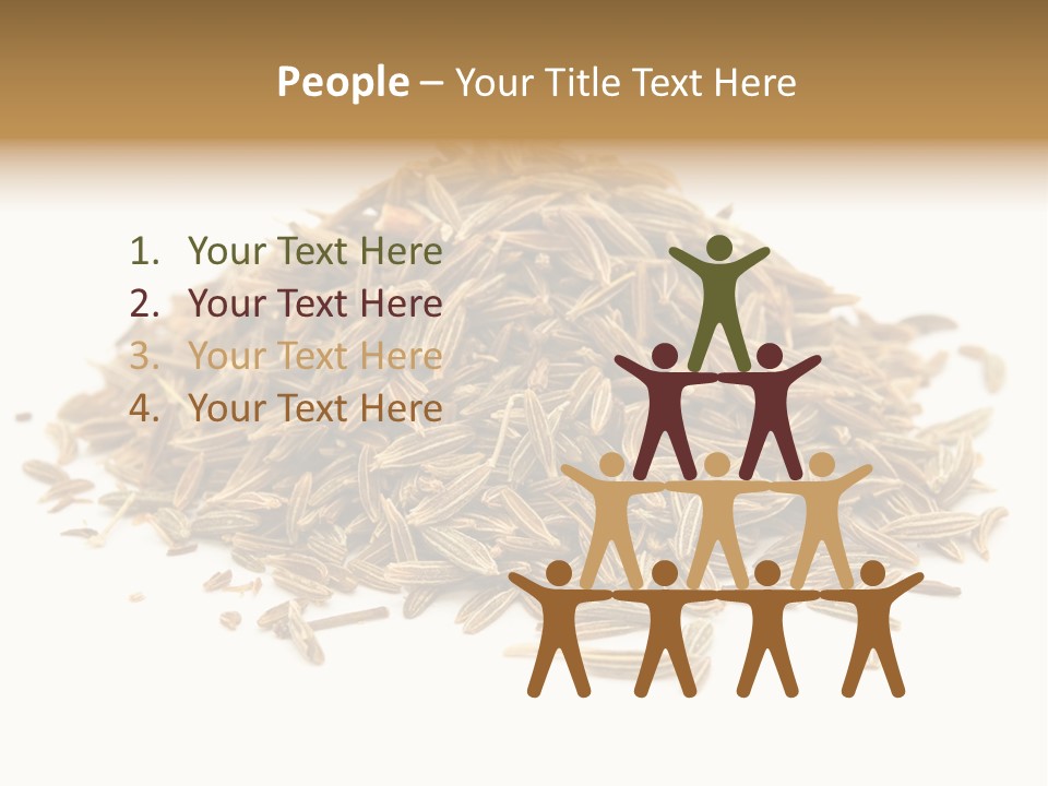 Ingredient Meridian Isolated PowerPoint Template