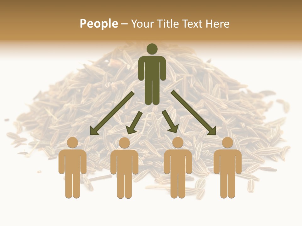 Ingredient Meridian Isolated PowerPoint Template