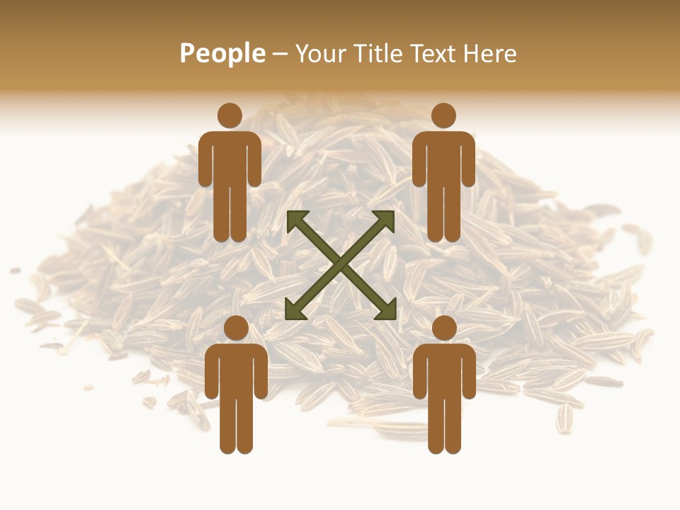 Ingredient Meridian Isolated PowerPoint Template