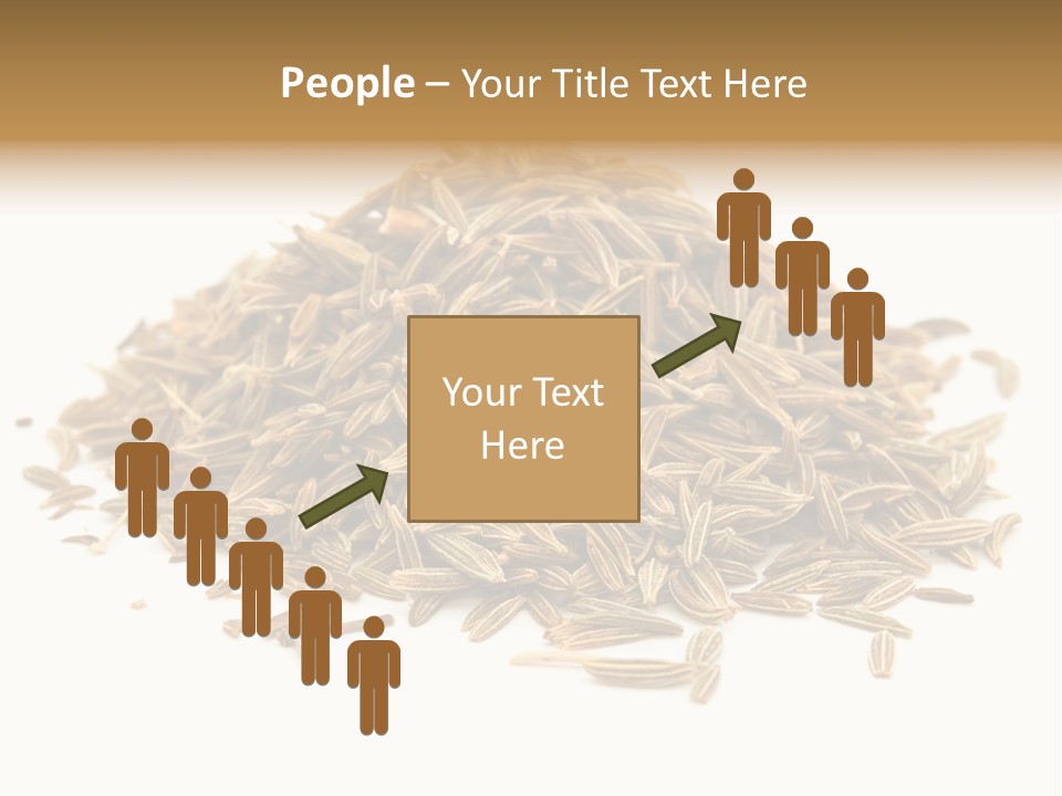 Ingredient Meridian Isolated PowerPoint Template