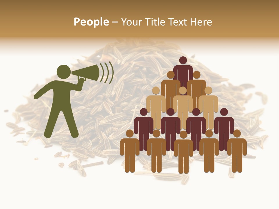 Ingredient Meridian Isolated PowerPoint Template