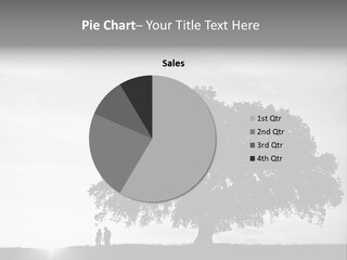 Park Stand Summer PowerPoint Template