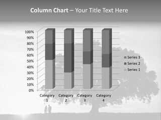 Park Stand Summer PowerPoint Template