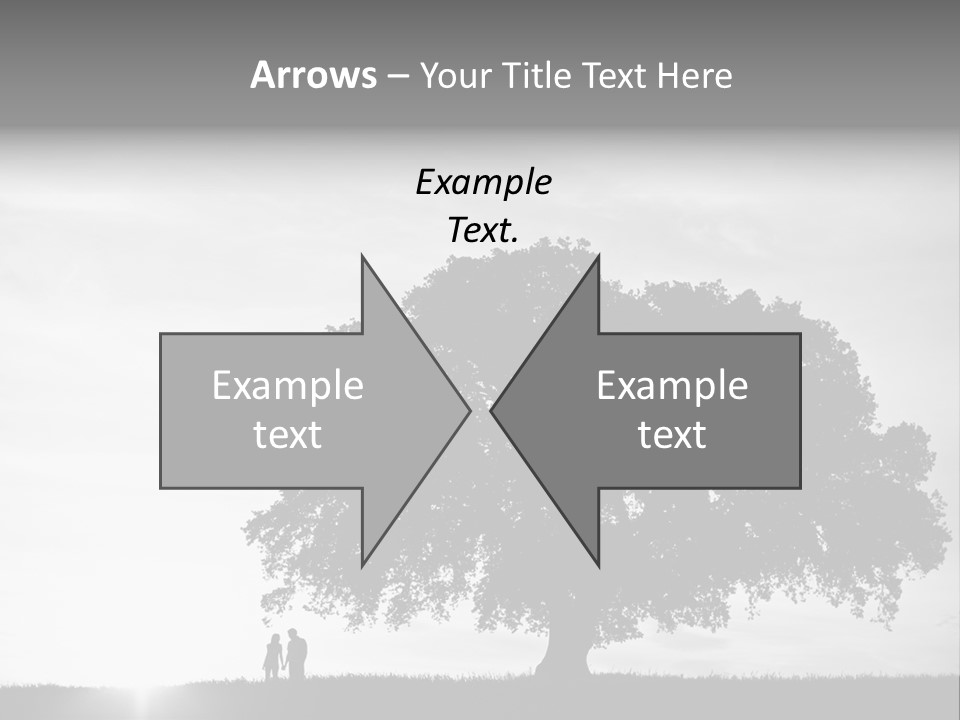 Park Stand Summer PowerPoint Template