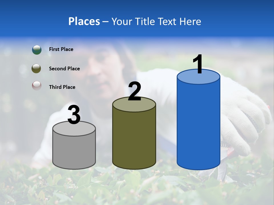 Work Green Summer PowerPoint Template