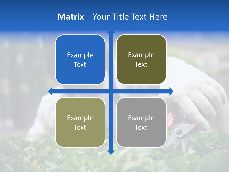 Work Green Summer PowerPoint Template