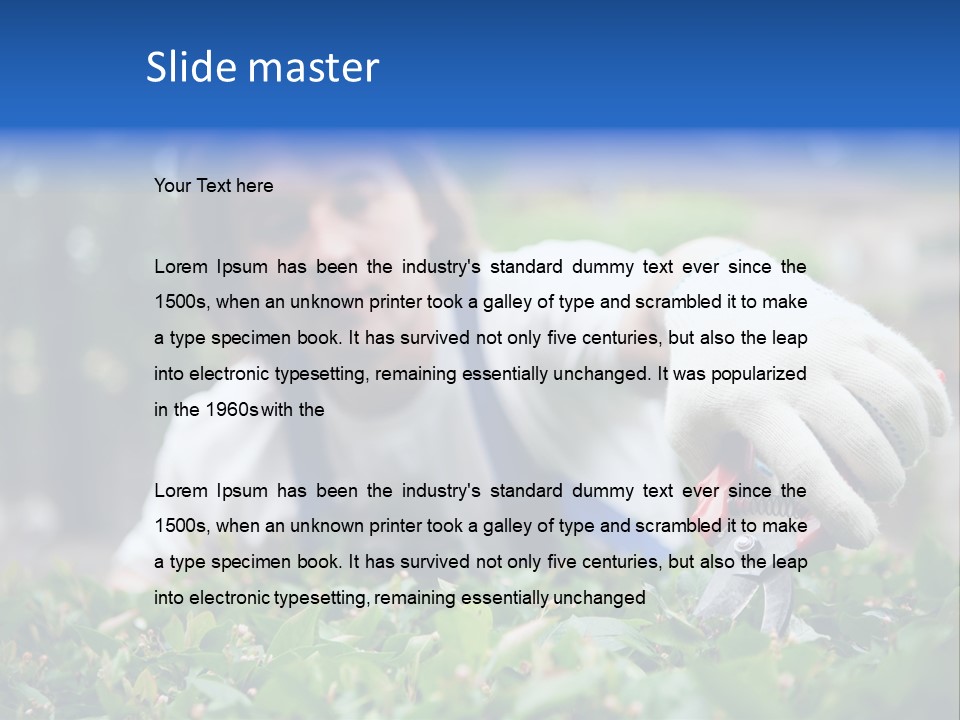 Work Green Summer PowerPoint Template