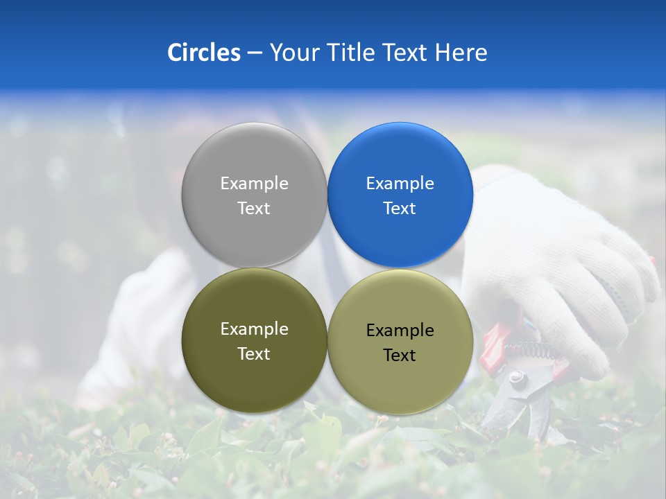 Work Green Summer PowerPoint Template