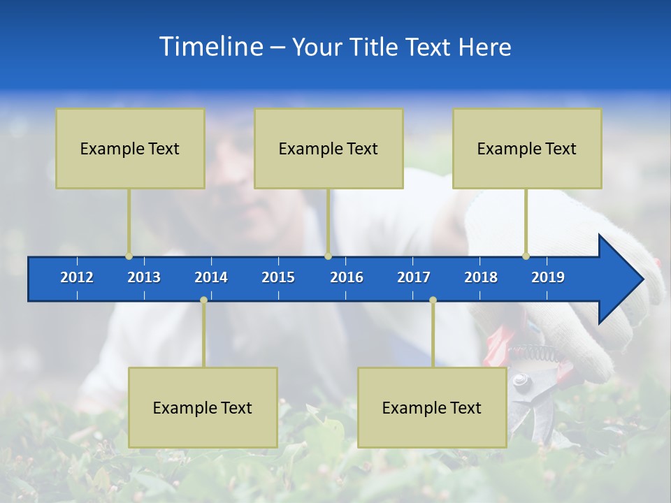 Work Green Summer PowerPoint Template