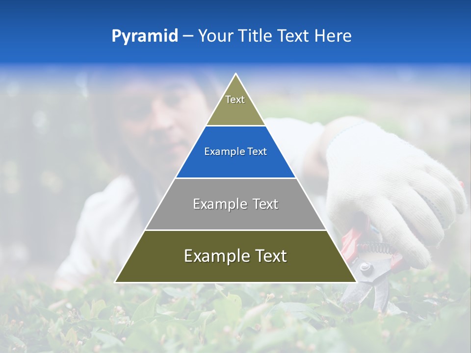 Work Green Summer PowerPoint Template