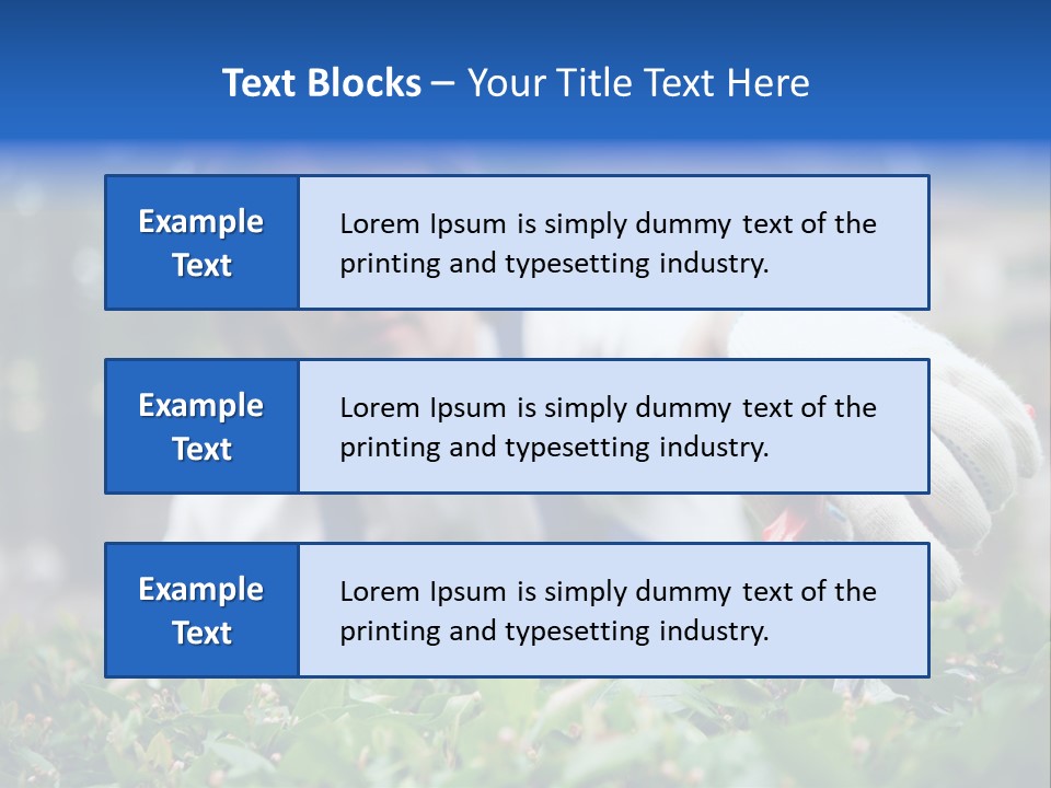Work Green Summer PowerPoint Template