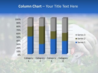 Work Green Summer PowerPoint Template