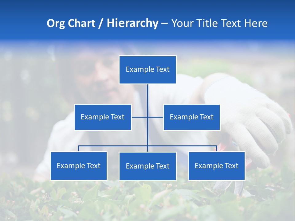 Work Green Summer PowerPoint Template