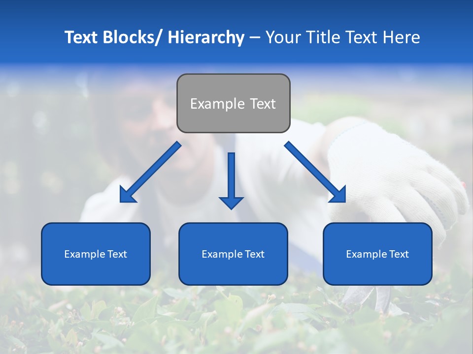 Work Green Summer PowerPoint Template