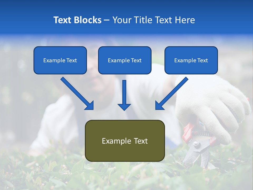 Work Green Summer PowerPoint Template