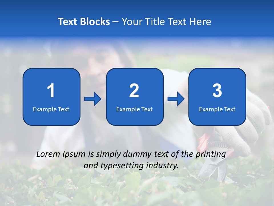 Work Green Summer PowerPoint Template