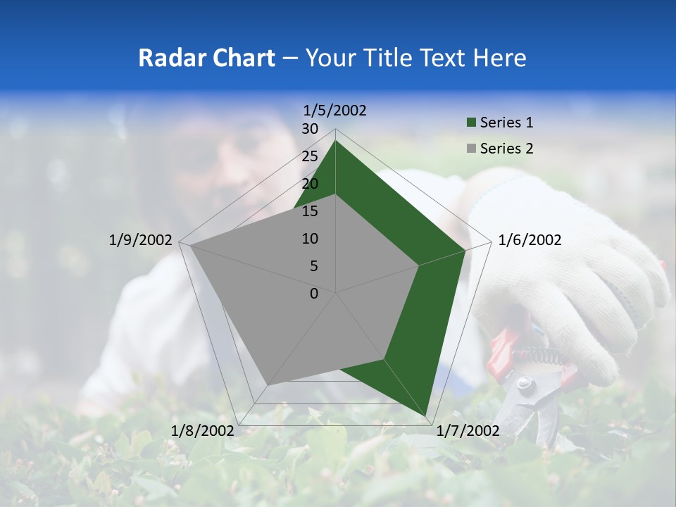 Work Green Summer PowerPoint Template