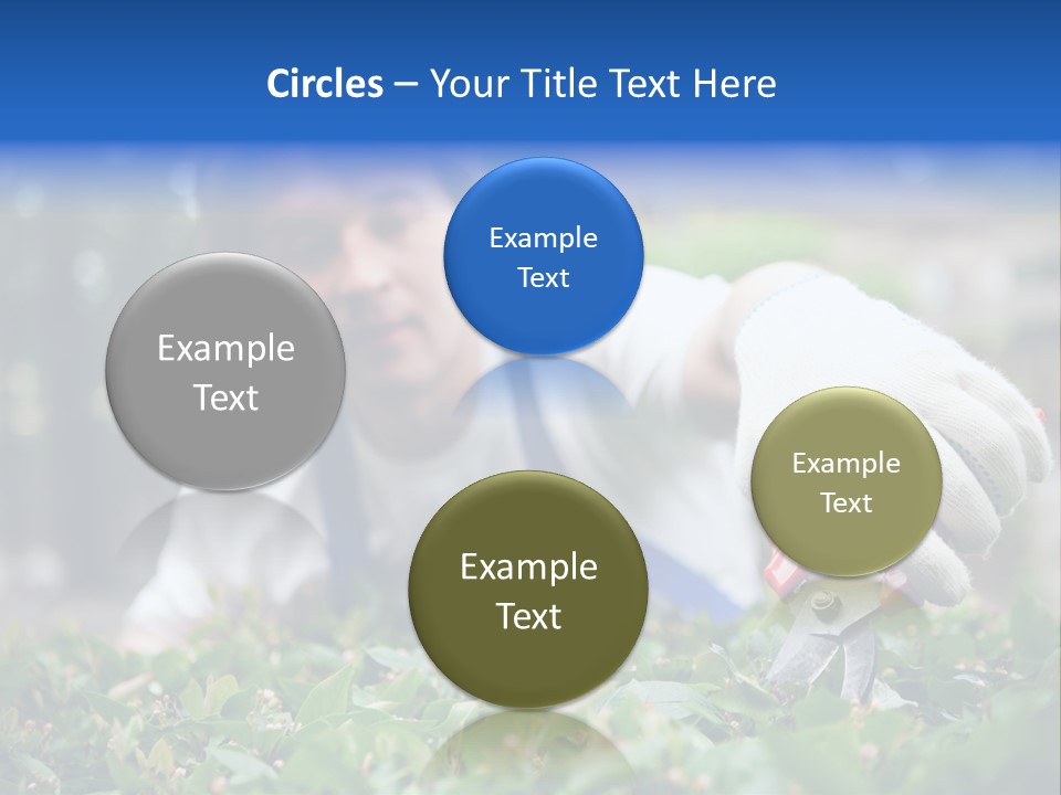 Work Green Summer PowerPoint Template