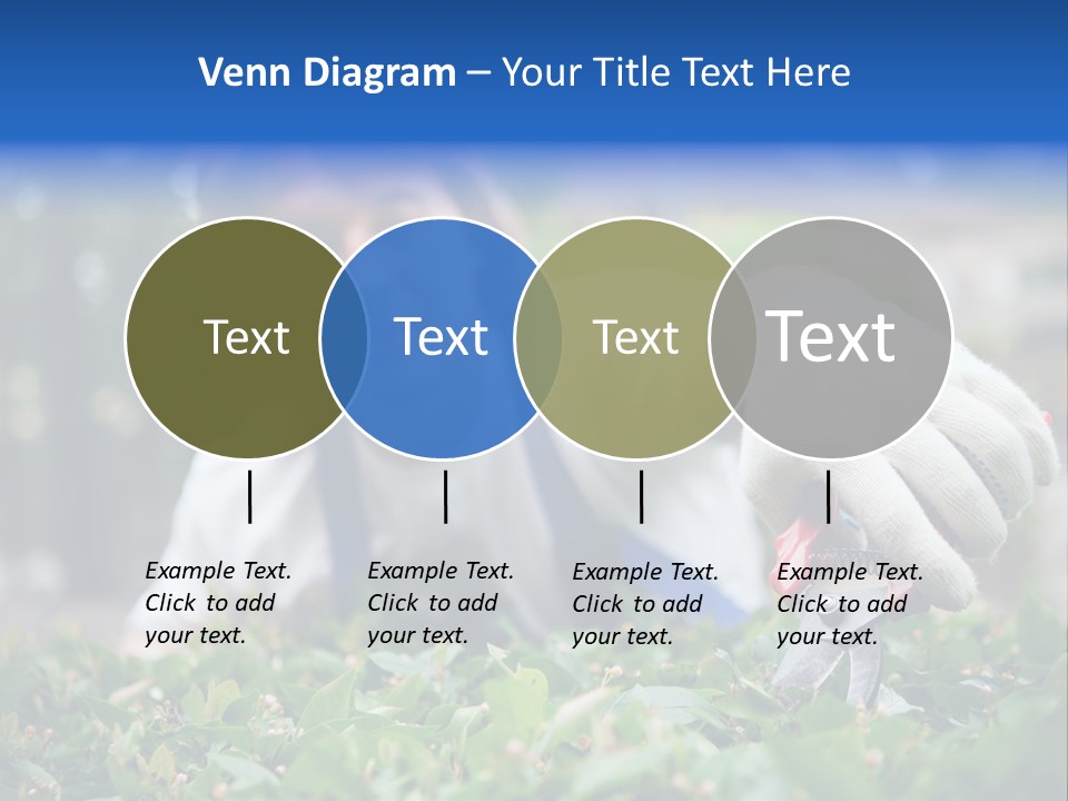 Work Green Summer PowerPoint Template