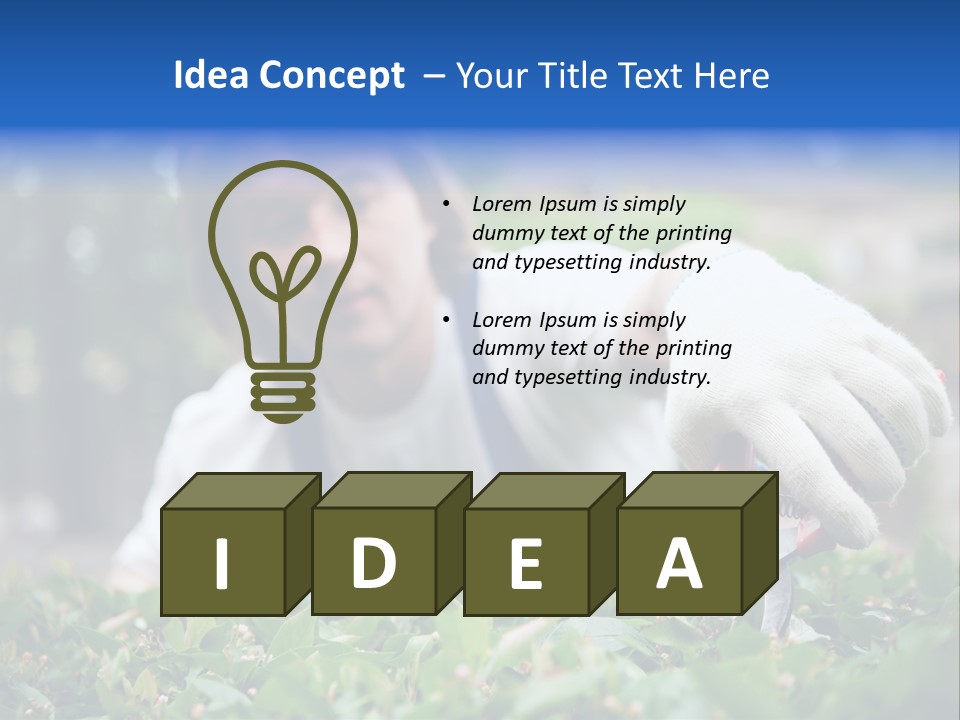 Work Green Summer PowerPoint Template