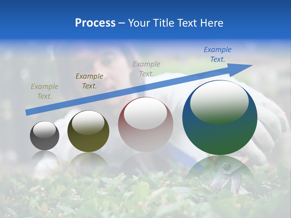 Work Green Summer PowerPoint Template