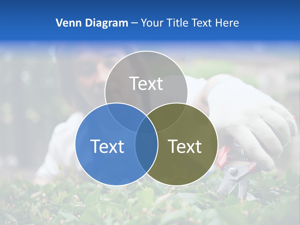 Work Green Summer PowerPoint Template