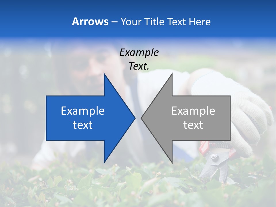 Work Green Summer PowerPoint Template