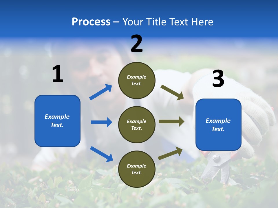 Work Green Summer PowerPoint Template