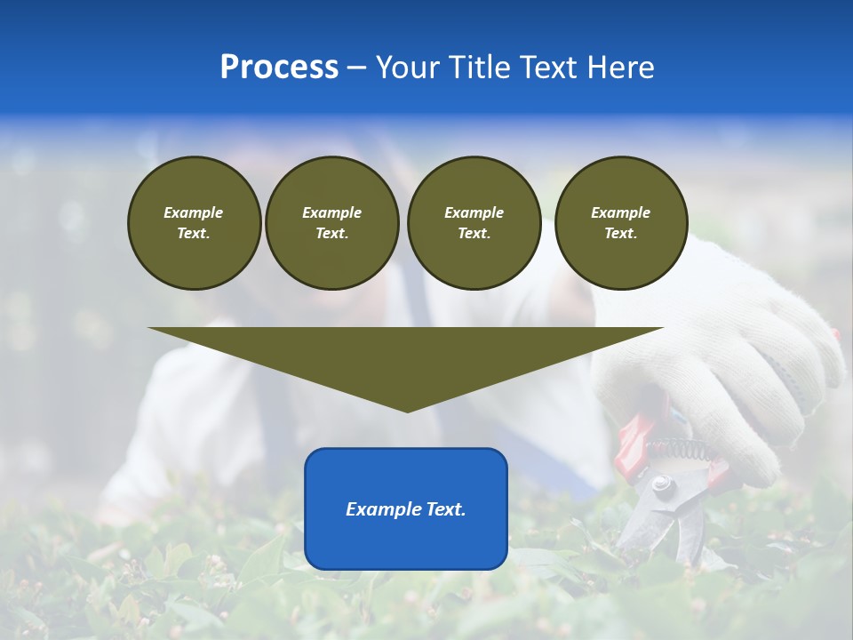 Work Green Summer PowerPoint Template