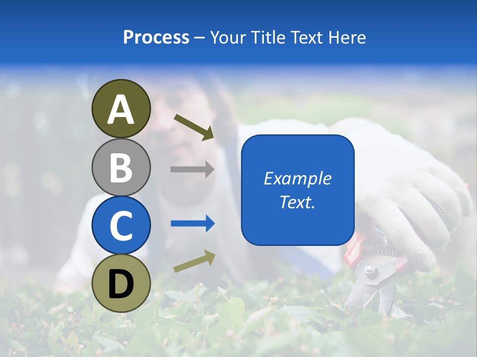 Work Green Summer PowerPoint Template