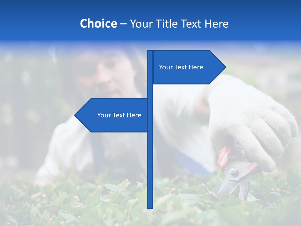 Work Green Summer PowerPoint Template