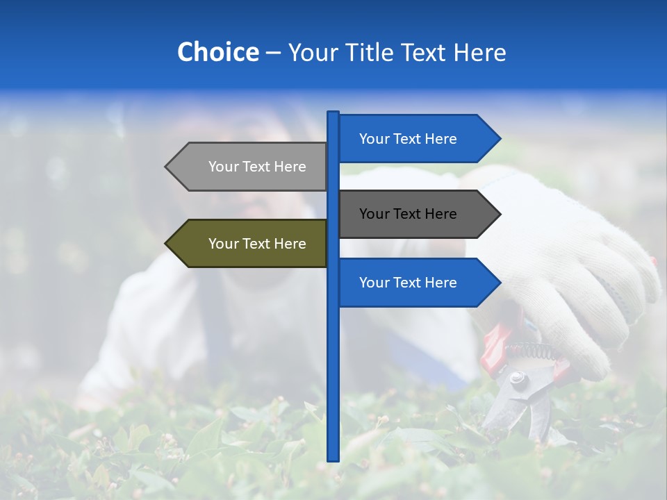 Work Green Summer PowerPoint Template