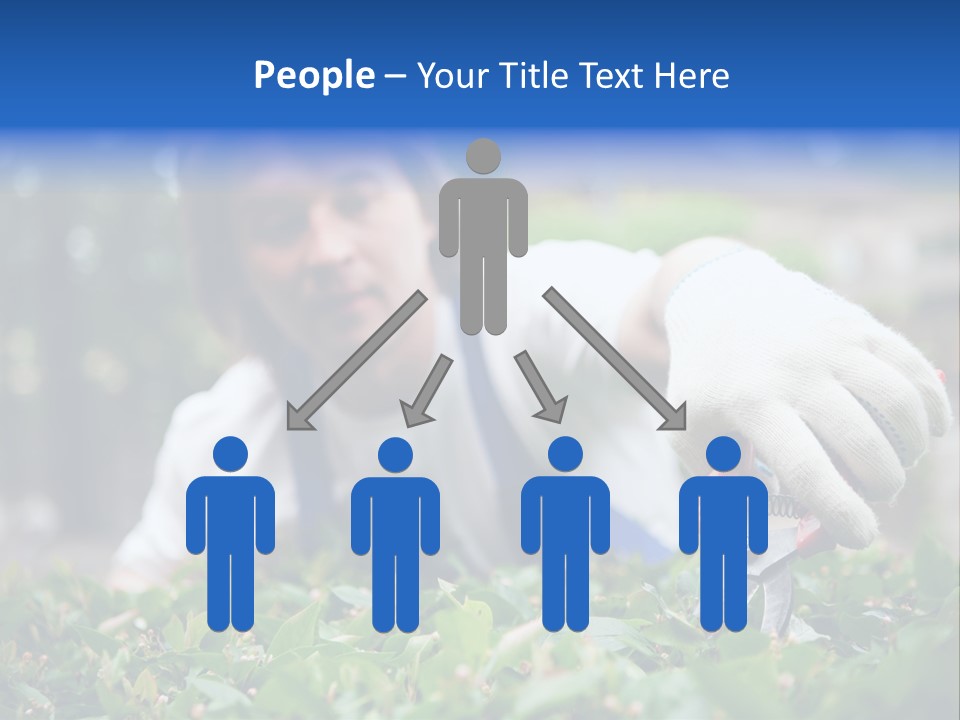 Work Green Summer PowerPoint Template