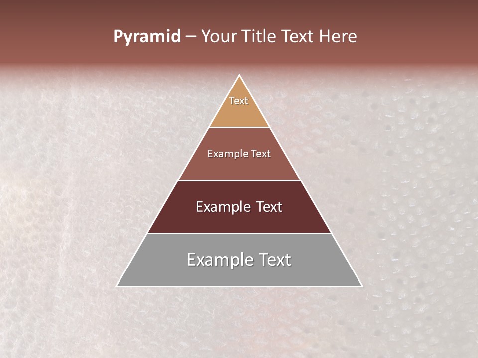 Pattern Wet Market PowerPoint Template