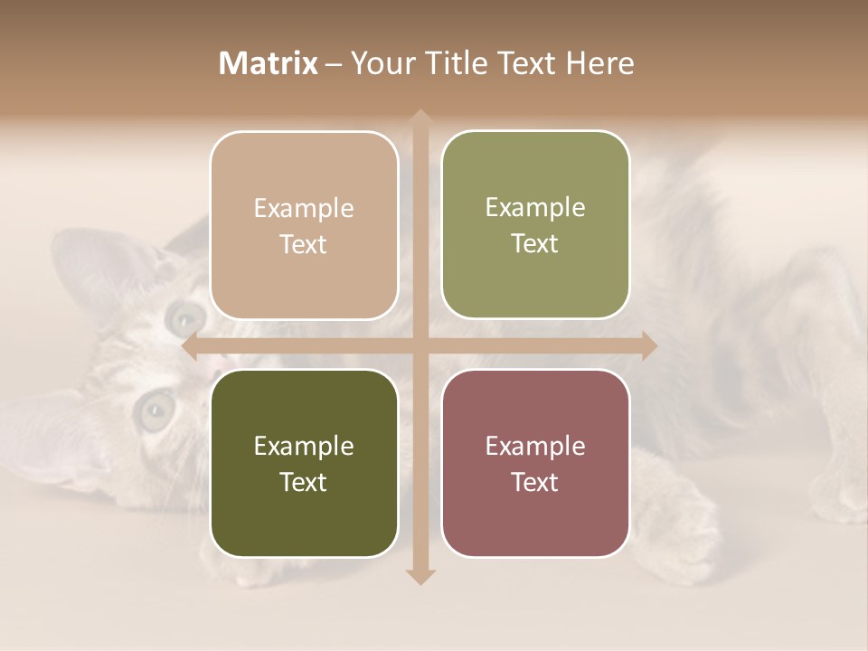 Grooming Pretty Household PowerPoint Template