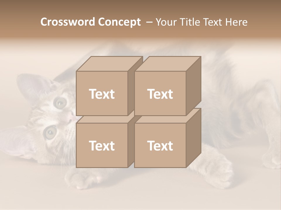 Grooming Pretty Household PowerPoint Template