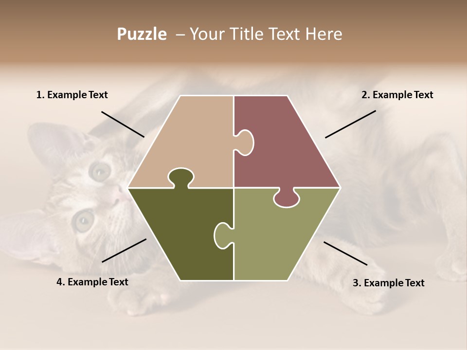 Grooming Pretty Household PowerPoint Template