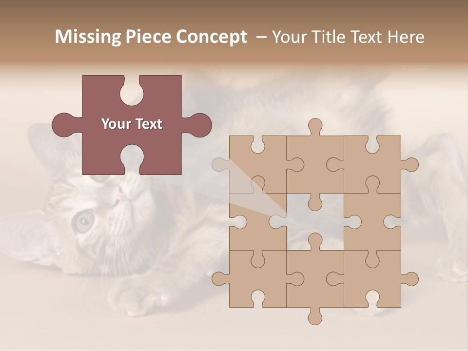 Grooming Pretty Household PowerPoint Template