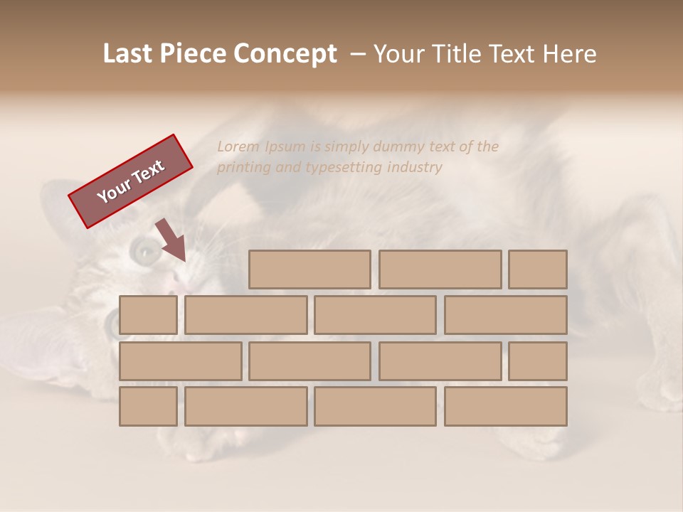 Grooming Pretty Household PowerPoint Template