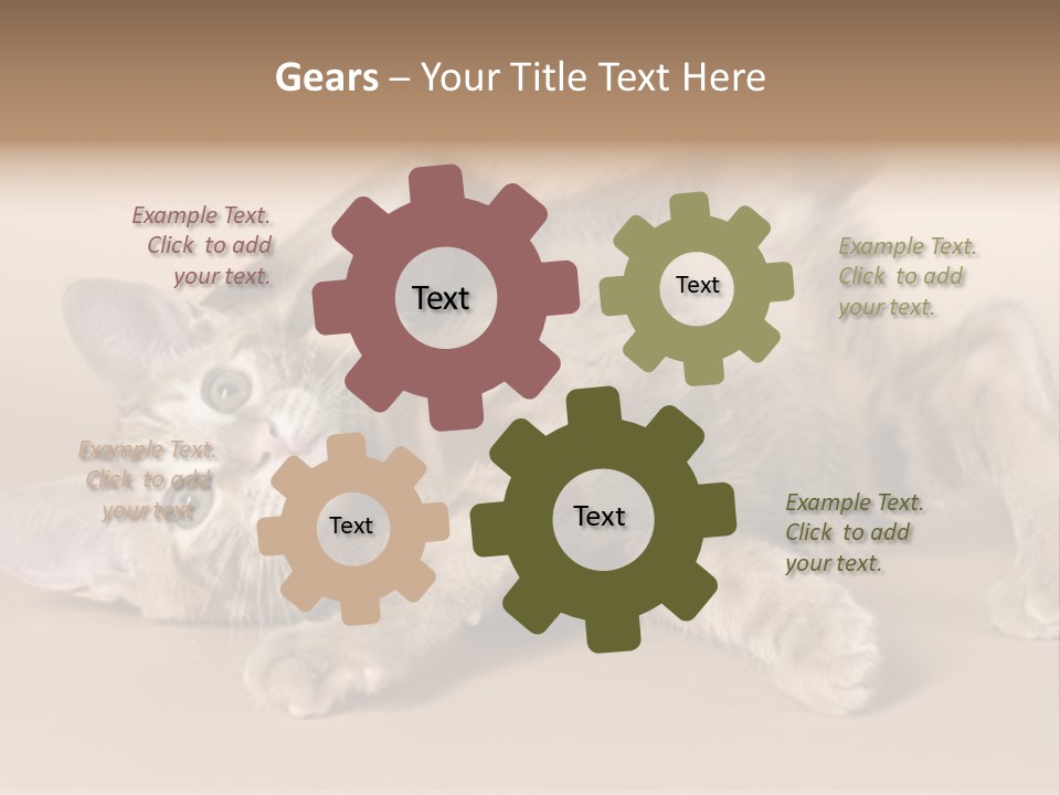 Grooming Pretty Household PowerPoint Template