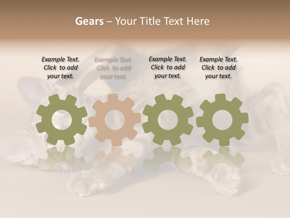 Grooming Pretty Household PowerPoint Template