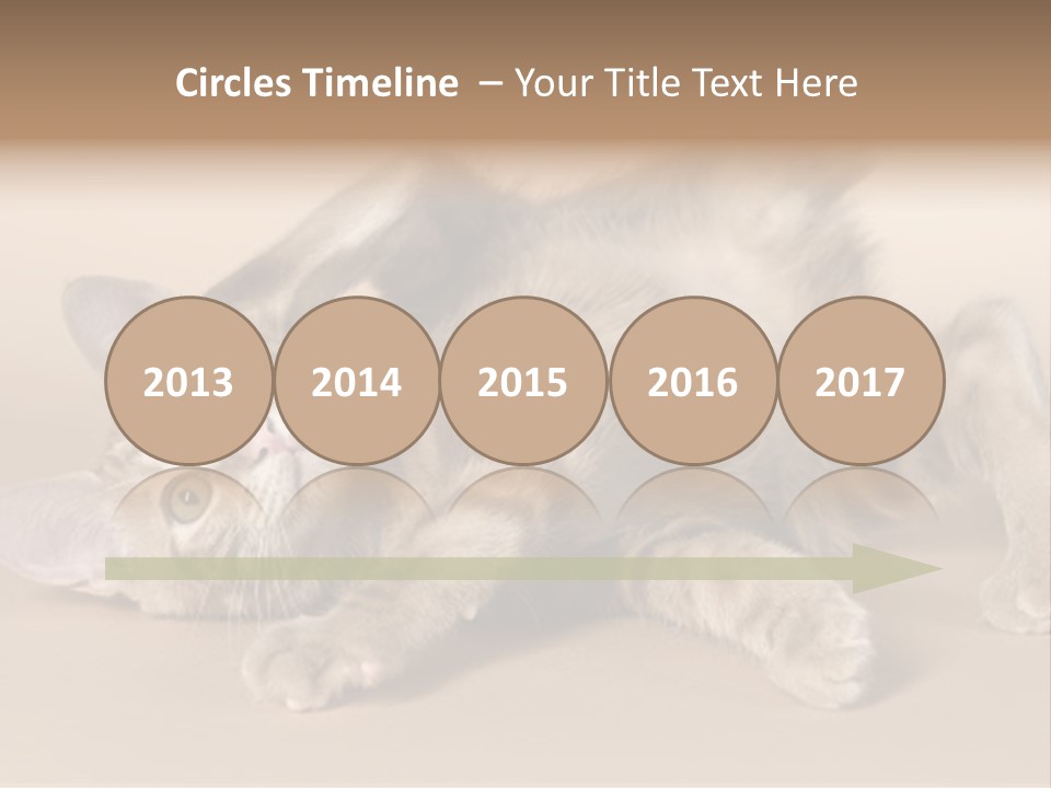 Grooming Pretty Household PowerPoint Template