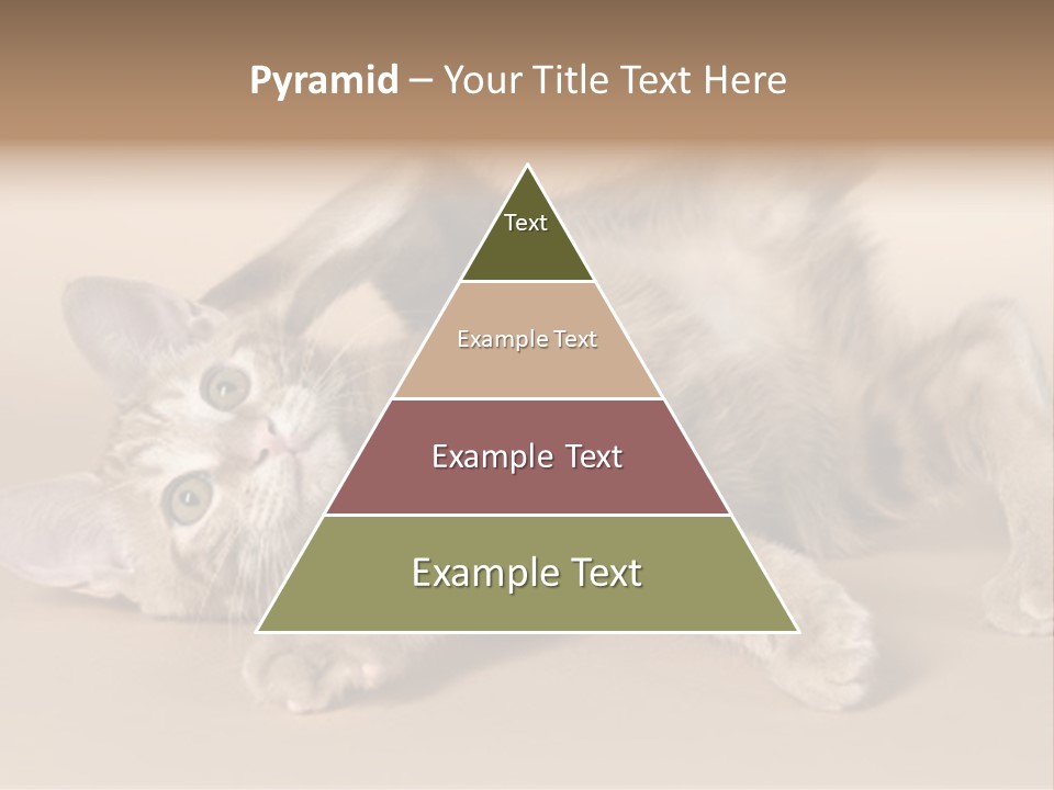 Grooming Pretty Household PowerPoint Template