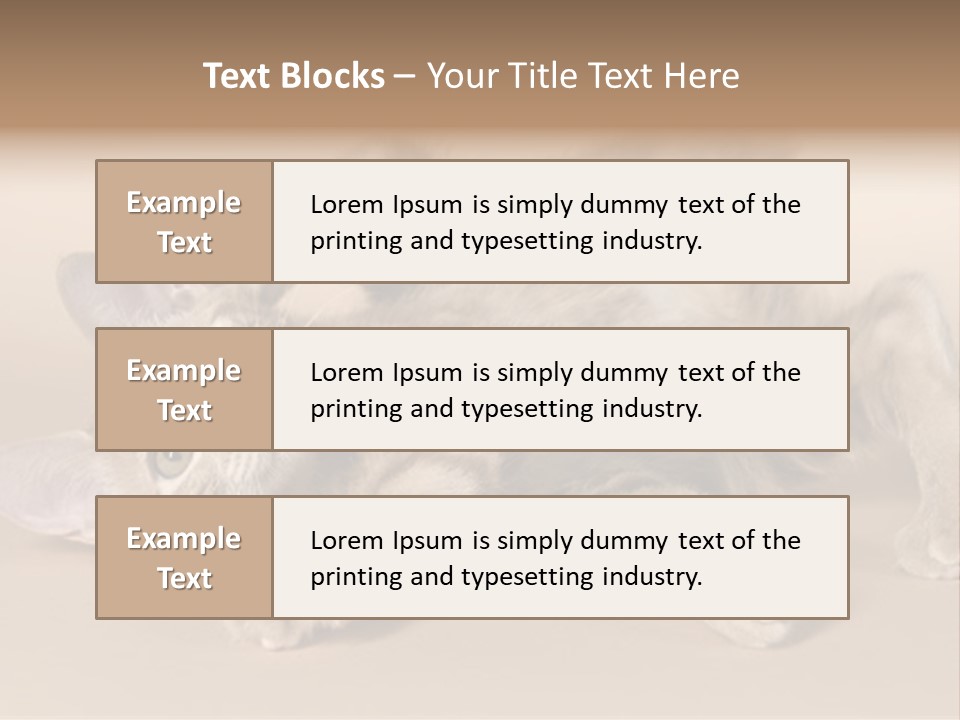 Grooming Pretty Household PowerPoint Template